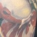 tattoos/ - top anlge of the koi sleeve - 48950